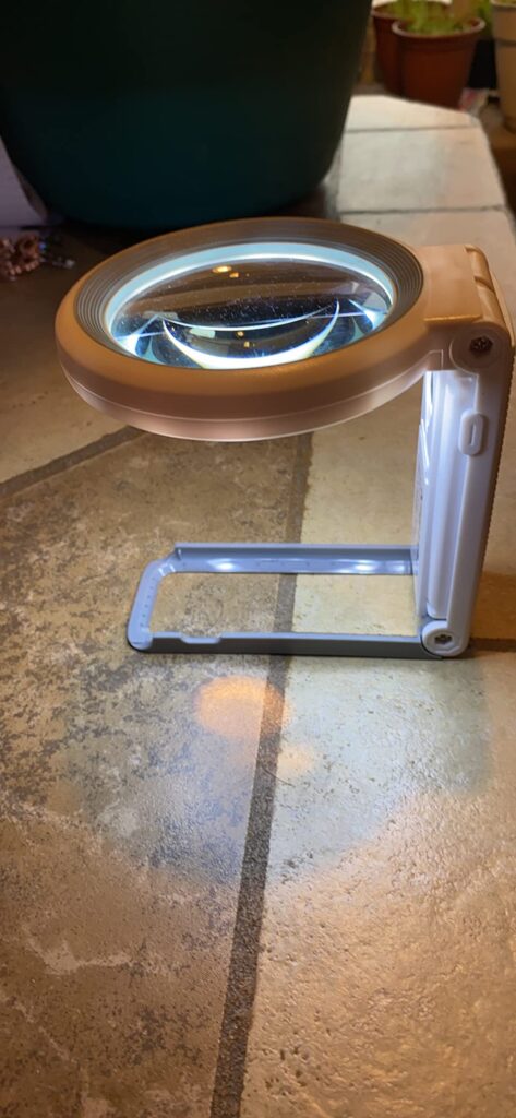 Obrazek #1 z Oliwier